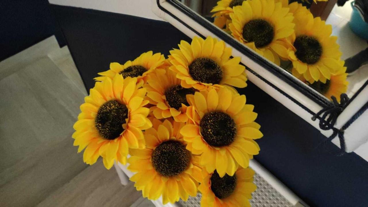 Il Girasole, Distante Solo 200 Mt. Reali Dal Mare Διαμέρισμα Lido Marini Εξωτερικό φωτογραφία